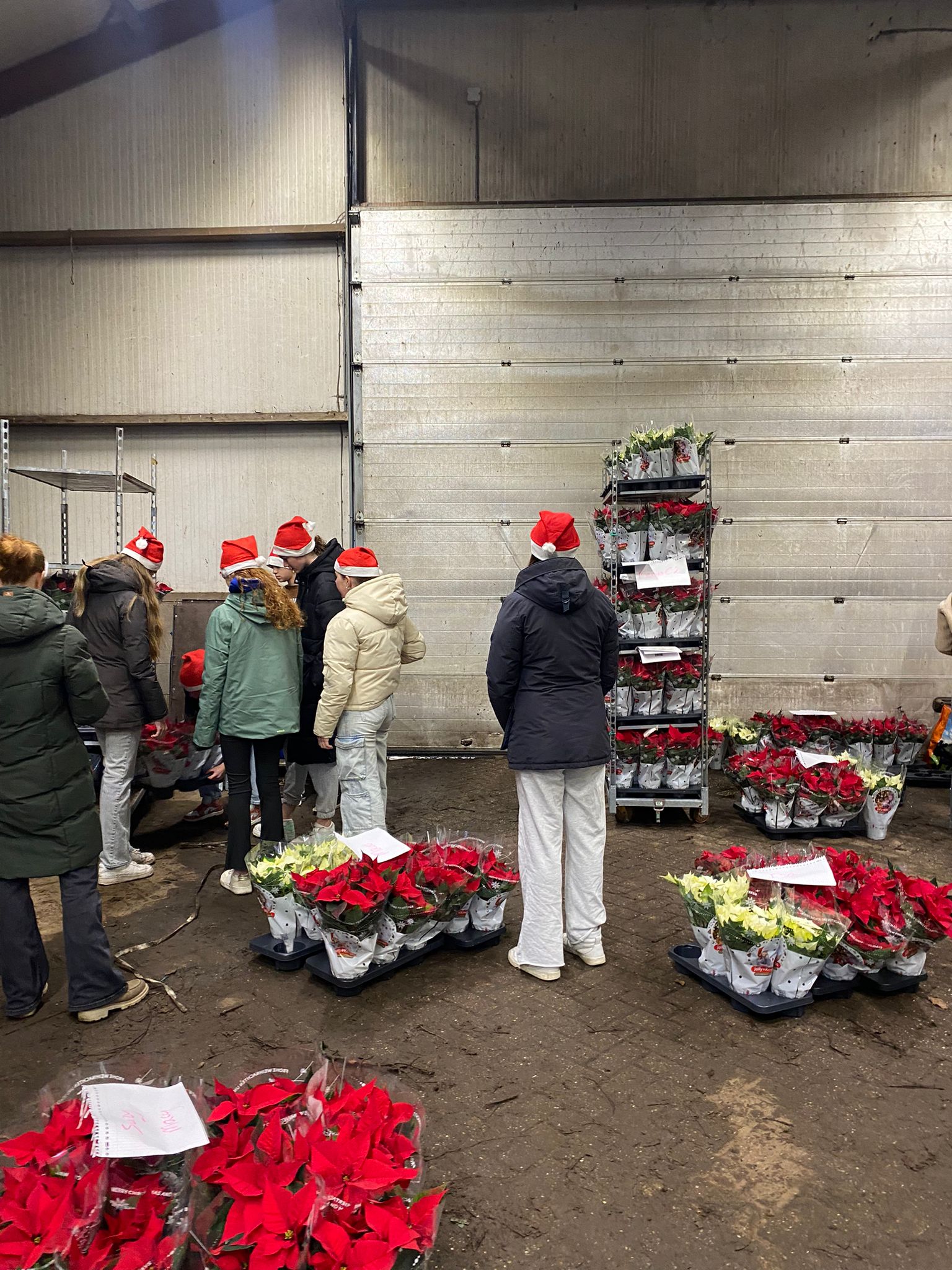 Kersterrenactie2024-5.jpeg