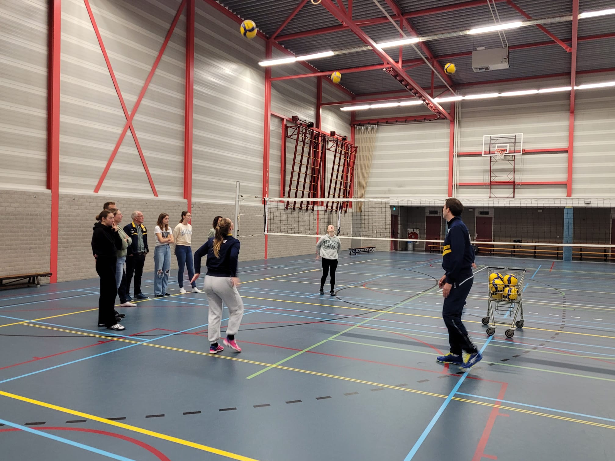 trainers bij 2